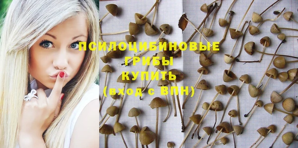 a pvp Кодинск