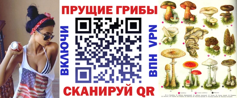 Псилоцибиновые грибы Psilocybe наркотики Костомукша